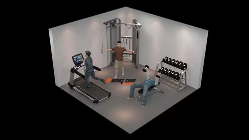【企事业单位健身房健身器材工厂设计配置】-